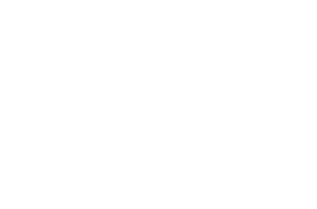 The Girls on the Bus