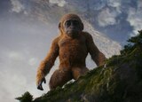 Suko, a juvenile great ape Titan, stands on a cliff edge, looking down.