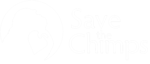 Save the Chimps