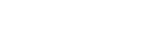 The Boy and the Heron