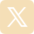 X - social icon