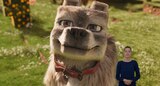 Dennis, Steve’s pet wolf, looks up adoringly at something out of frame. ASL interpreter Sophia Morales does not sign any words.