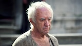 high-sparrow
