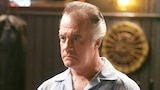paulie-walnuts