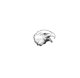 American Eagle Foundation