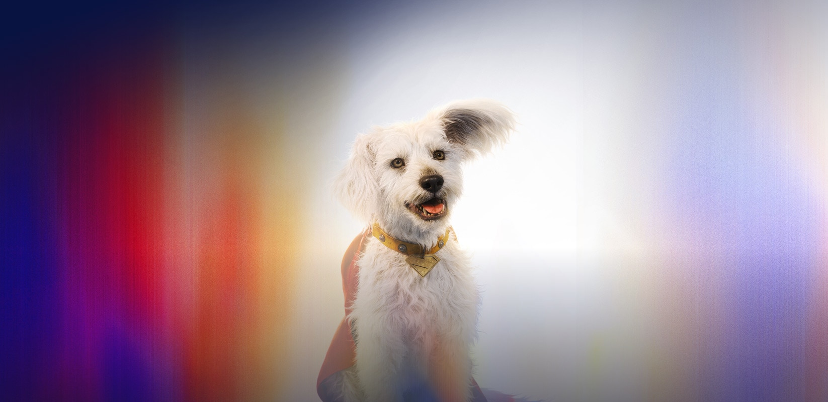 Krypto
