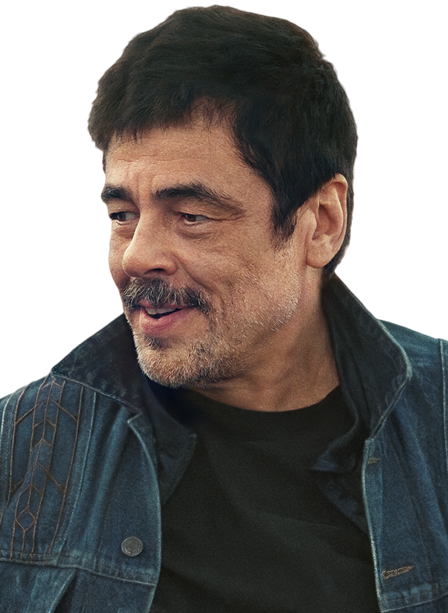 Benicio del Toro as Sensei Sergio St. Carlos