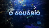 O Aquário