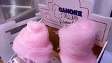 Carnivals Unwrapped