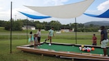 A Sports Lover's Dream