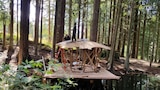 Building Off the Grid: Mushroom House
