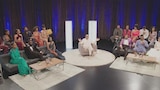 Reunion Special Part 1