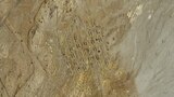 Monstruos del desierto de diamantes