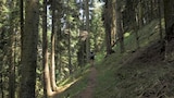 Arkansas Bigfoot Stalks a Father and Son and More