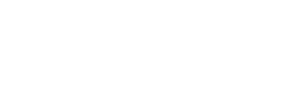 The Perfect Murder