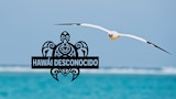 Hawái desconocido