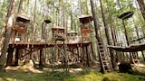 Climb-In Drive-In