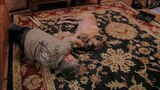 My Life as a Dog