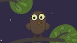 The Owl