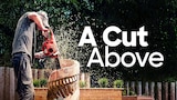 A Cut Above