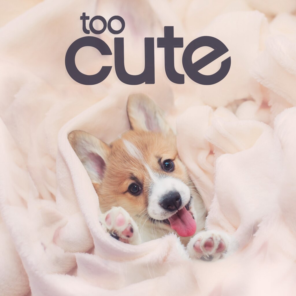 Too Cute!