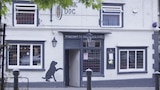Paranormal Pub, Cursed Closet and Alien Woods