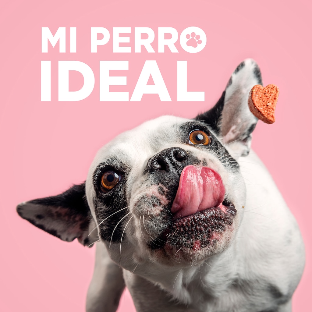 Mi perro ideal