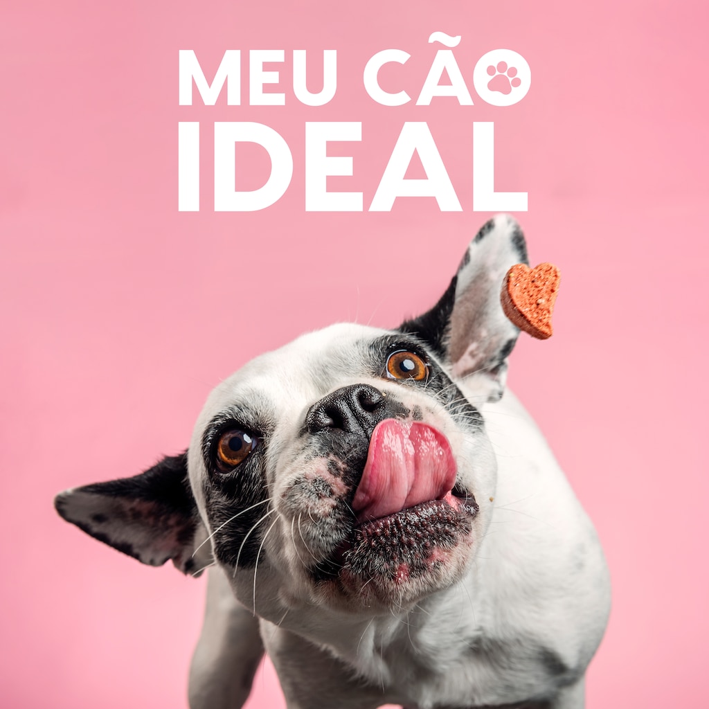 Meu Cão Ideal