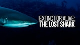 Extinct or Alive: The Lost Shark