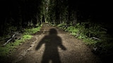Pennsylvania Shadow Person and More