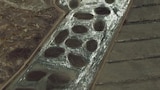 Monjes asesinos de la CIA