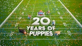 Puppy Bowl Presents: 20 Years of Puppies