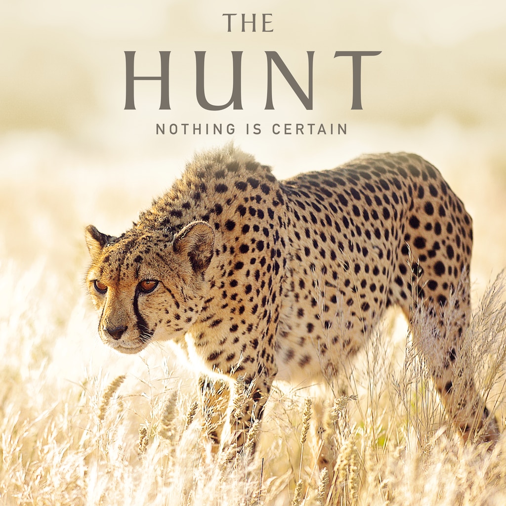 The Hunt