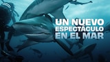 Un nuevo espectáculo en el mar