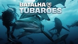 Batalha de Tubarões