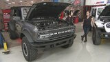 Bronco Nuevo