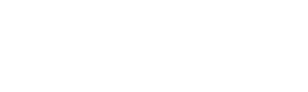 Underground Railroad: The Secret History