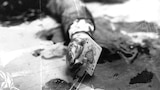 John Gotti: There Were Fatal Consequences, Part 2
