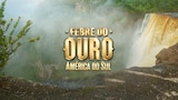 Febre do Ouro: América do Sul