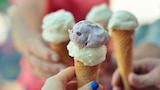 Tequila, Steam-Powered Megacity, Soft Ice Cream