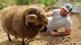 There's Something About Aries