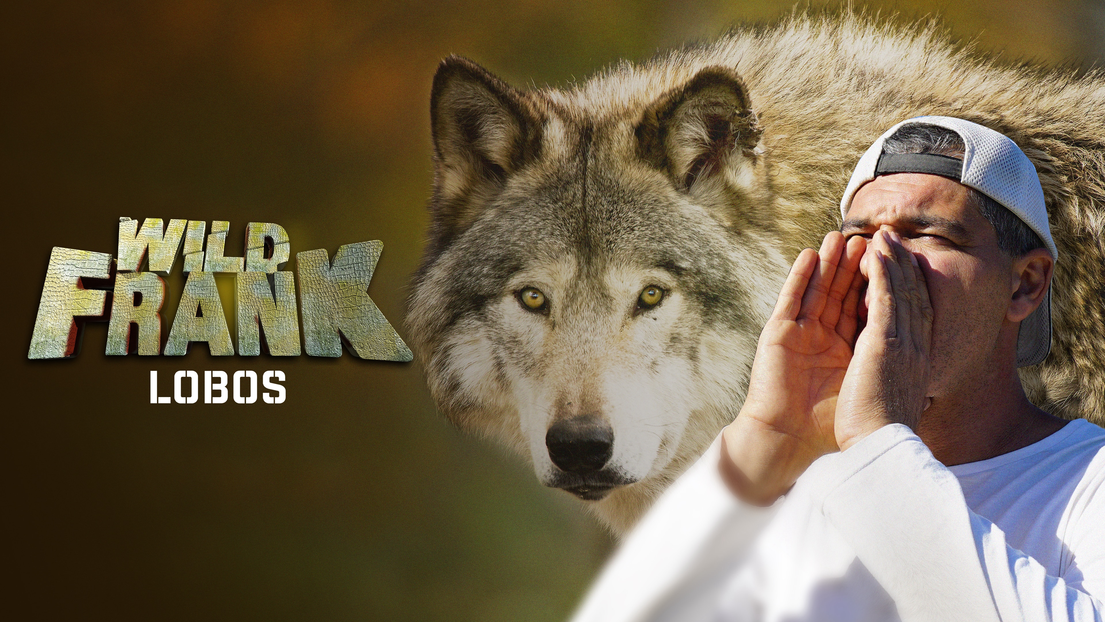 Sr lobo de los tipos malos fanarts by juandiegofurrywolf on DeviantArt, image size:3840x2160