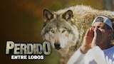 Perdido entre Lobos