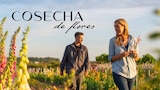 Cosecha de flores