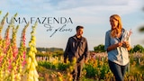 Uma Fazenda de Flores