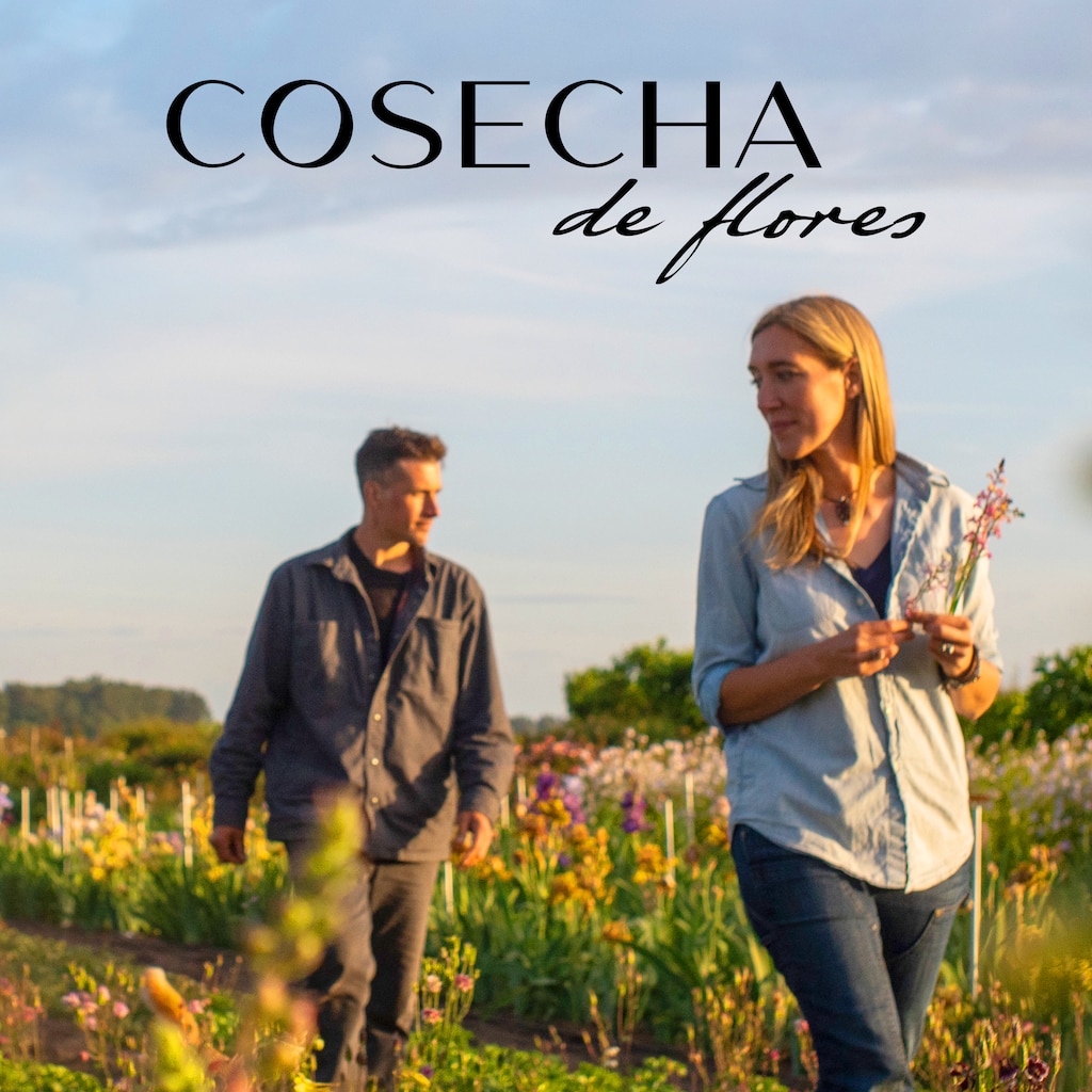 Cosecha de flores