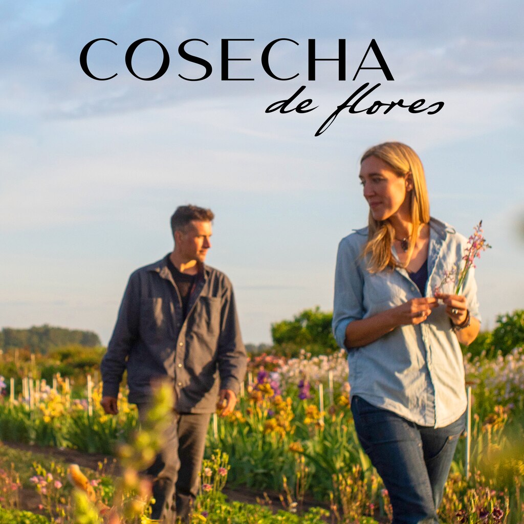 Cosecha de flores