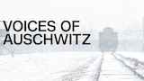 CNN Special Report: Voices of Auschwitz