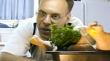 A Bird in the Pan