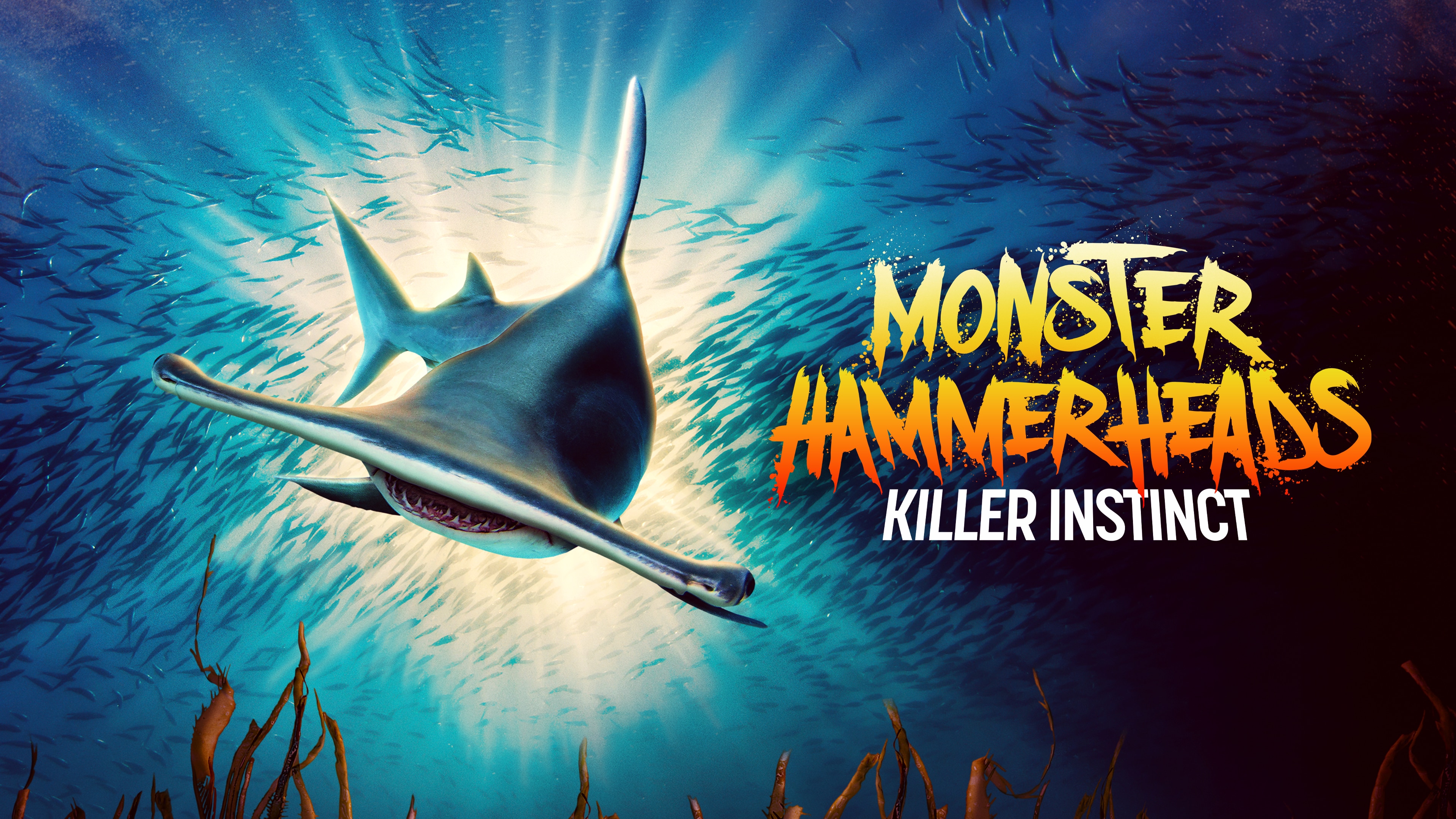 Watch Monster Hammerheads: Killer Instinct